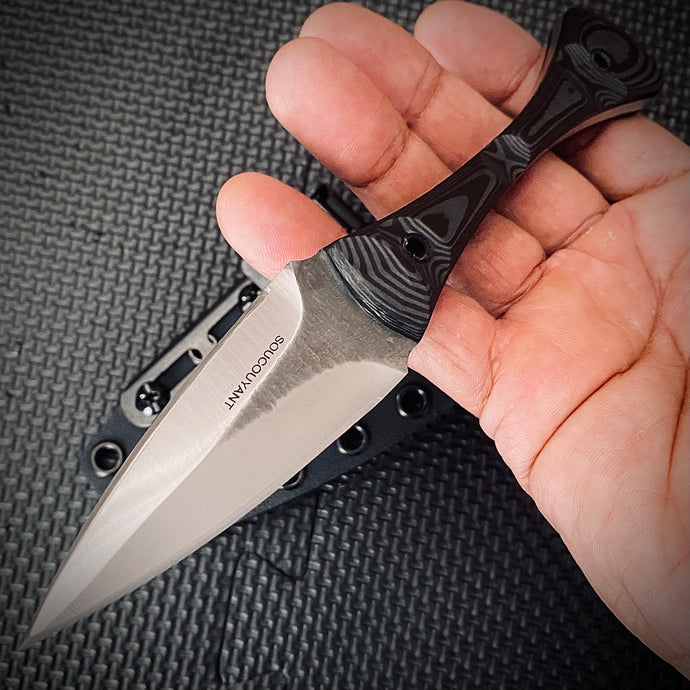 The Soucouyant (carbon fiber one off) with trainer